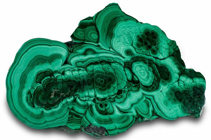 Flowery Polished Malachite Slab - DR Congo #319873